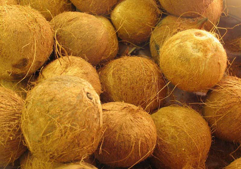 Производство кокосовой койры